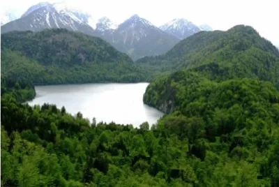 פאזל של Nature