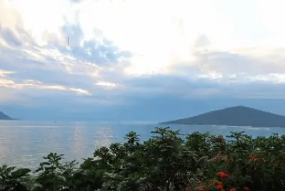 פאזל של Nature