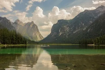 פאזל של Nature