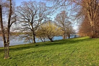 פאזל של Nature