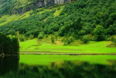 פאזל של Nature