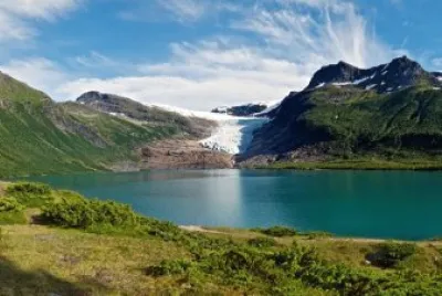 פאזל של Nature