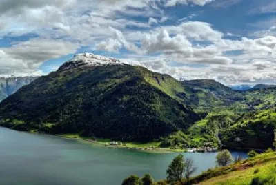 פאזל של Nature