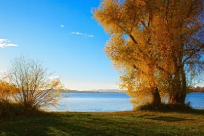 פאזל של Nature