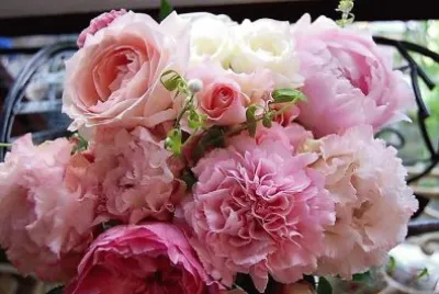 flores