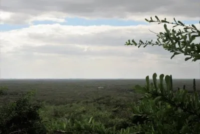 Paisaje yucateco. jigsaw puzzle