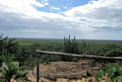 CampiÃ±a yucateca. jigsaw puzzle