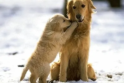 mom-#272