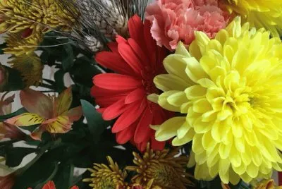 Beautiful Autumn Flowers