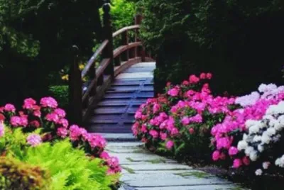 14 jigsaw puzzle