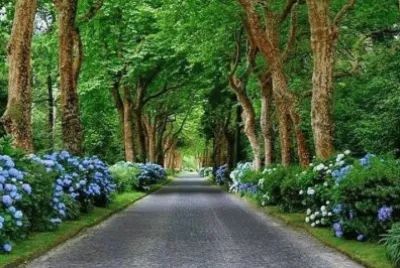 16 jigsaw puzzle