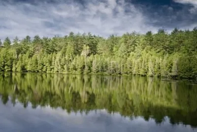 פאזל של Nature