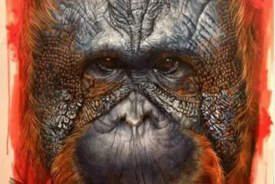 Monkey jigsaw puzzle