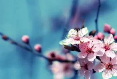 DanielaVenecia