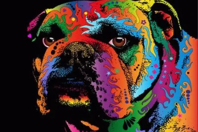 Bulldog