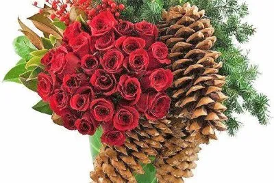 flores
