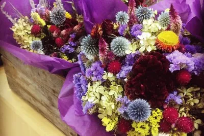 Beautiful Dried Flowers