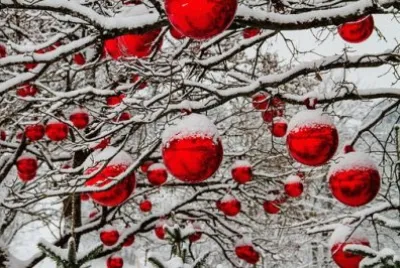Bolas na Ãrvore Nevada