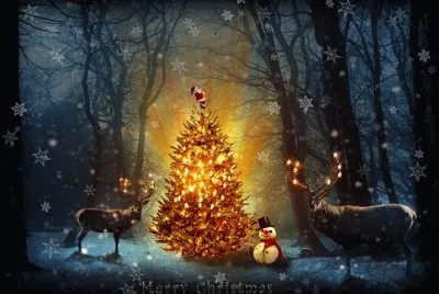 Natal