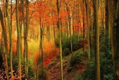 autum
