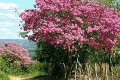 imagem jigsaw puzzle