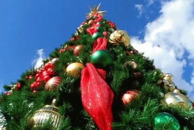 Ãrvore de Natal jigsaw puzzle