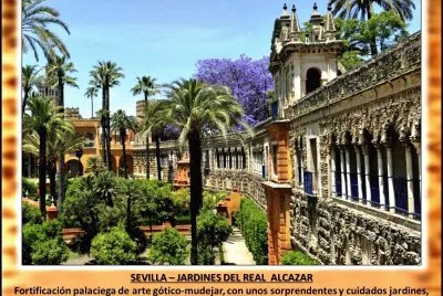 SEVILLA â€“ JARDINES DEL REAL  ALCAZAR