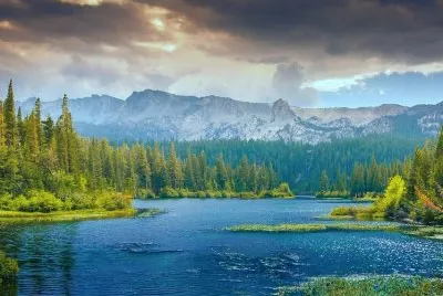 פאזל של Nature