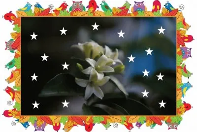 å¤œ