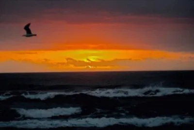 Floripa filial do paraÃ­so