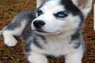 â™¥