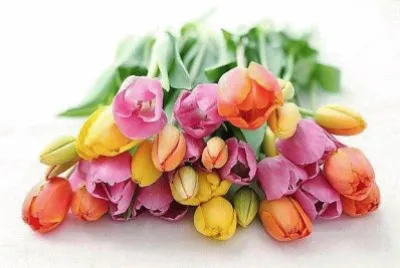 flores
