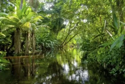 Selva AmazÃ´nica