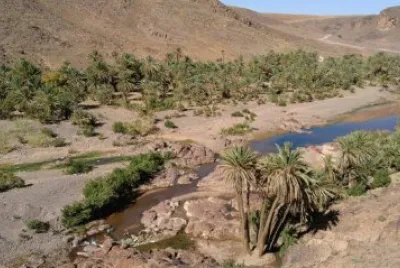 oasis de Fint