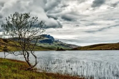 פאזל של Nature