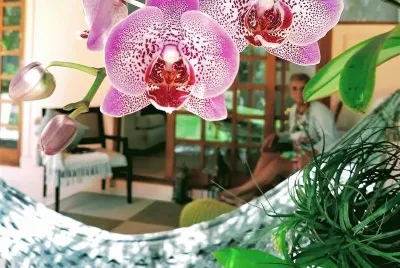 flores