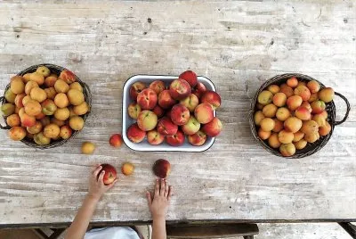 frutas