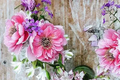 flores