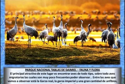 PARQUE NACIONAL TABLAS DE DAIMIEL â€“ FAUNA Y FLORA