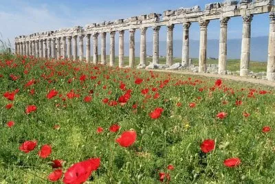 ApamÃ©e Syrie