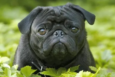 190