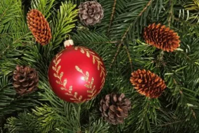 Drim Natal jigsaw puzzle