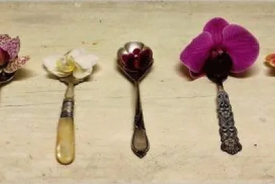 flores