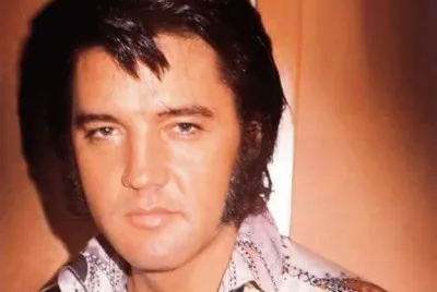 ELVIS FILES jigsaw puzzle