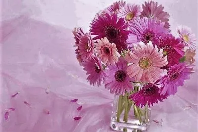 flores