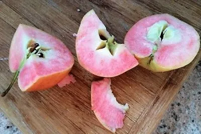 frutas jigsaw puzzle