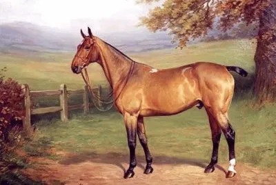 wonderfull jigsaw puzzle