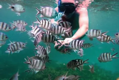 PECES