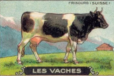 vache suisse jigsaw puzzle