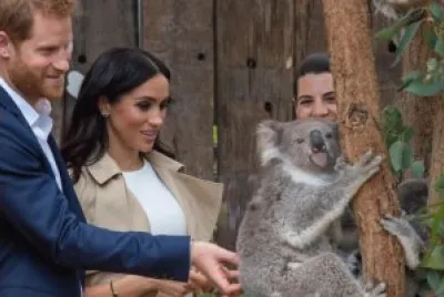 Meghan y Harry